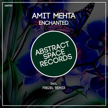 Amit Mehta - Enchanted