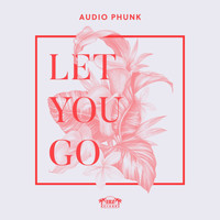 Audio Phunk - Let You Go