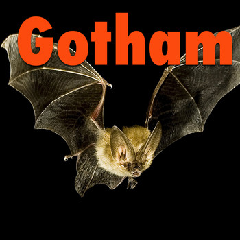 Various Artists - Gotham