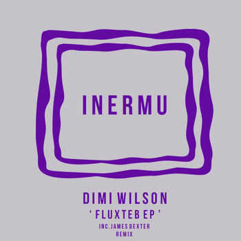 Dimi Wilson - Fluxteb EP