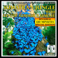 Amadeus - Binaural Sounds of Nature for Sleep: Sumatran Jungle with Gentle Summer Rainfall: 120 Minutes Special Edition