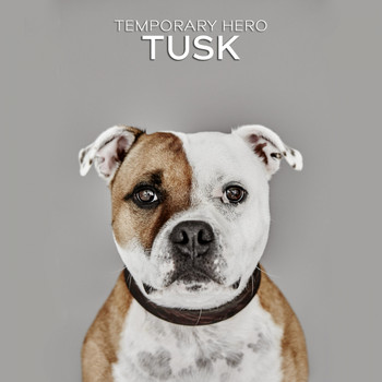 Temporary Hero - TUSK