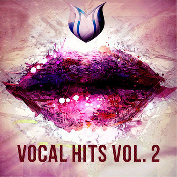 Various Artists - Vocal Hits, Vol. 2