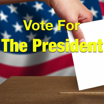 Various Artists - Vote For The President!