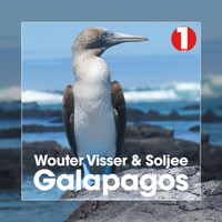 Wouter Visser - Galapagos