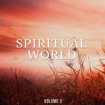 Various Artists - Spiritual World, Vol. 3 (Finest Selection Of Calm Electronic Music)