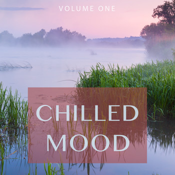 Various Artists - Chilled Mood, Vol. 1 (Finest Selection Of Electronic Smoth Jazz)