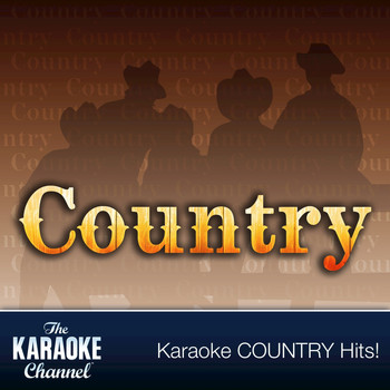 The Karaoke Channel - The Karaoke Channel - Country Hits of 1993, Vol. 1