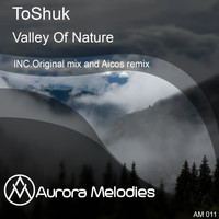 ToShuk - Valley Of Nature