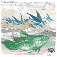 Vozmediano - Not Alone / Seagulls