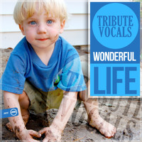 Tribute Vocals - Wonderful Life