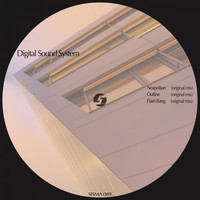 Digital Sound System - Neapolitan EP