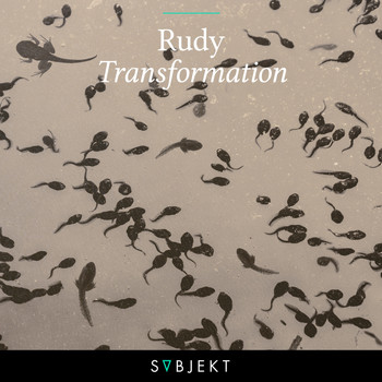 RUDY - Transformation