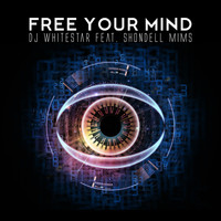 DJ Whitestar feat. Shondell Mims - Free Your Mind