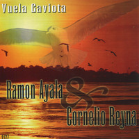 Ramon Ayala - Vuela Gaviota