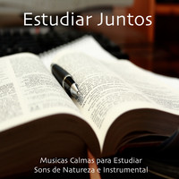Musicas para Estudar Collective - Estudiar Juntos: Musicas Calmas, Sons de Natureza e Instrumental