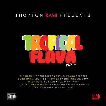 Various Artists - Tropical Flava Riddim (Explicit)