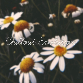Various Artists - Chillout Evolution