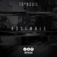 Tranquil - Assemble