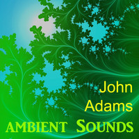 John Adams - Ambient Sounds
