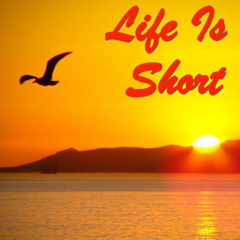 Various Artists - Life Is Short