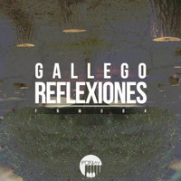 Gallego - Reflexiones