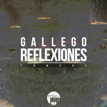 Gallego - Reflexiones