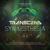 Transcend - Synaesthesia