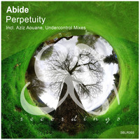 Abide - Perpetuity
