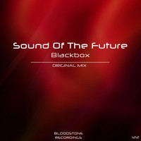 Sound of the Future - Blackbox