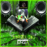 Tofiq (IE) - Jungle Dub