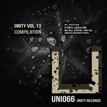 Various Artists - Unity, Vol. 13 Compilation