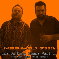 NSS & DJ Gooch - Idz Do Domu Spacz, Pt. II (The Ten Years After Remix)
