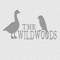 The Wildwoods - My Friend