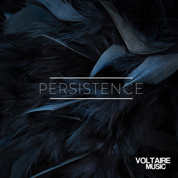 Various Artists - Voltaire Music Pres. Persistence #1