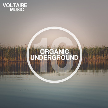 Various Artists - Organic Underground Issue 16