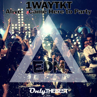 1wayTKT - Alive / Came Here to Party
