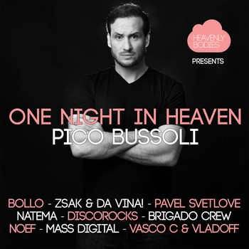 Various Artists - One Night In Heaven, Vol. 13
