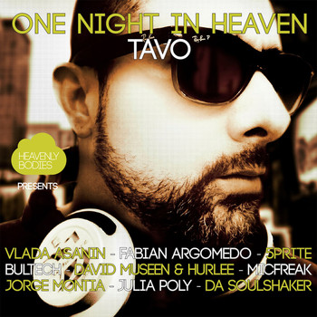 Various Artists - One Night In Heaven, Vol. 12
