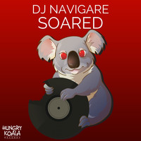 DJ Navigare - Soared