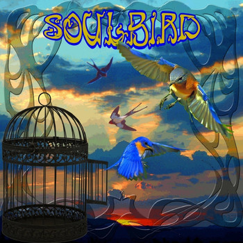 Peter Green - SoulBird