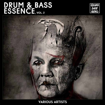 Various Artists - Drum & Bass Essence, Vol. 2