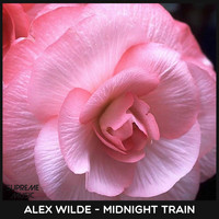 Alex Wilde - Midnight Train