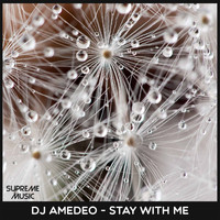 Dj Amedeo - Stay With Me
