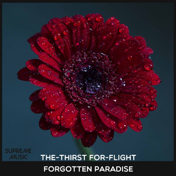 The-Thirst For-Flight - Forgotten Paradise