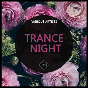 Various Artists - Trance Night