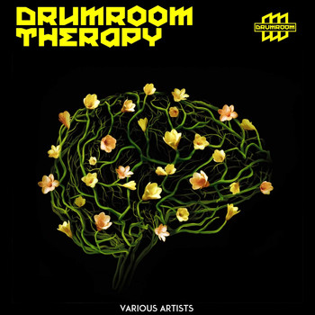 Various Artists - Drumroom Therapy