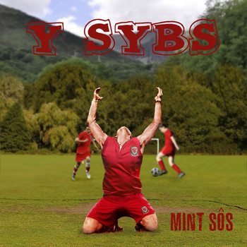 Y Sybs - 'Mint Sôs'