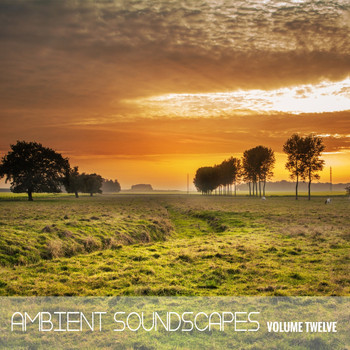 Various Artists - Ambient SoundScapes, Vol. 12