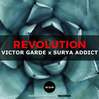 Victor Garde - Revolution